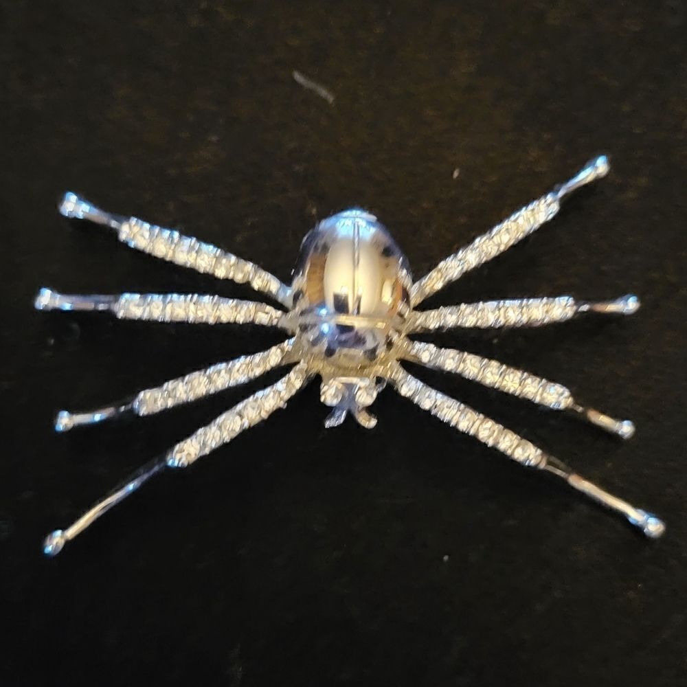 Spider Pin with Rhinestone Legs.